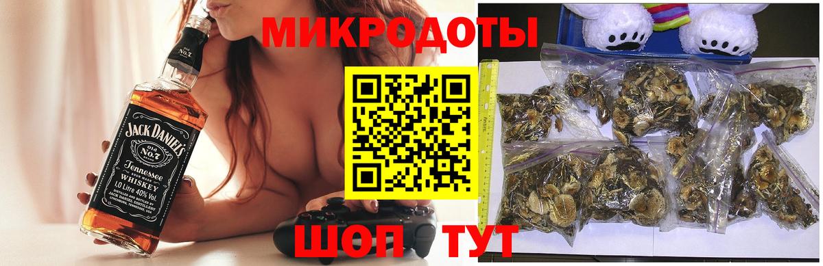 Псилоцибиновые грибы прущие грибы Великий Устюг